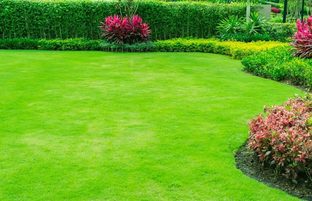 Revamp Your Yard with Huffman Lawn Maintenance Services - Call Today!